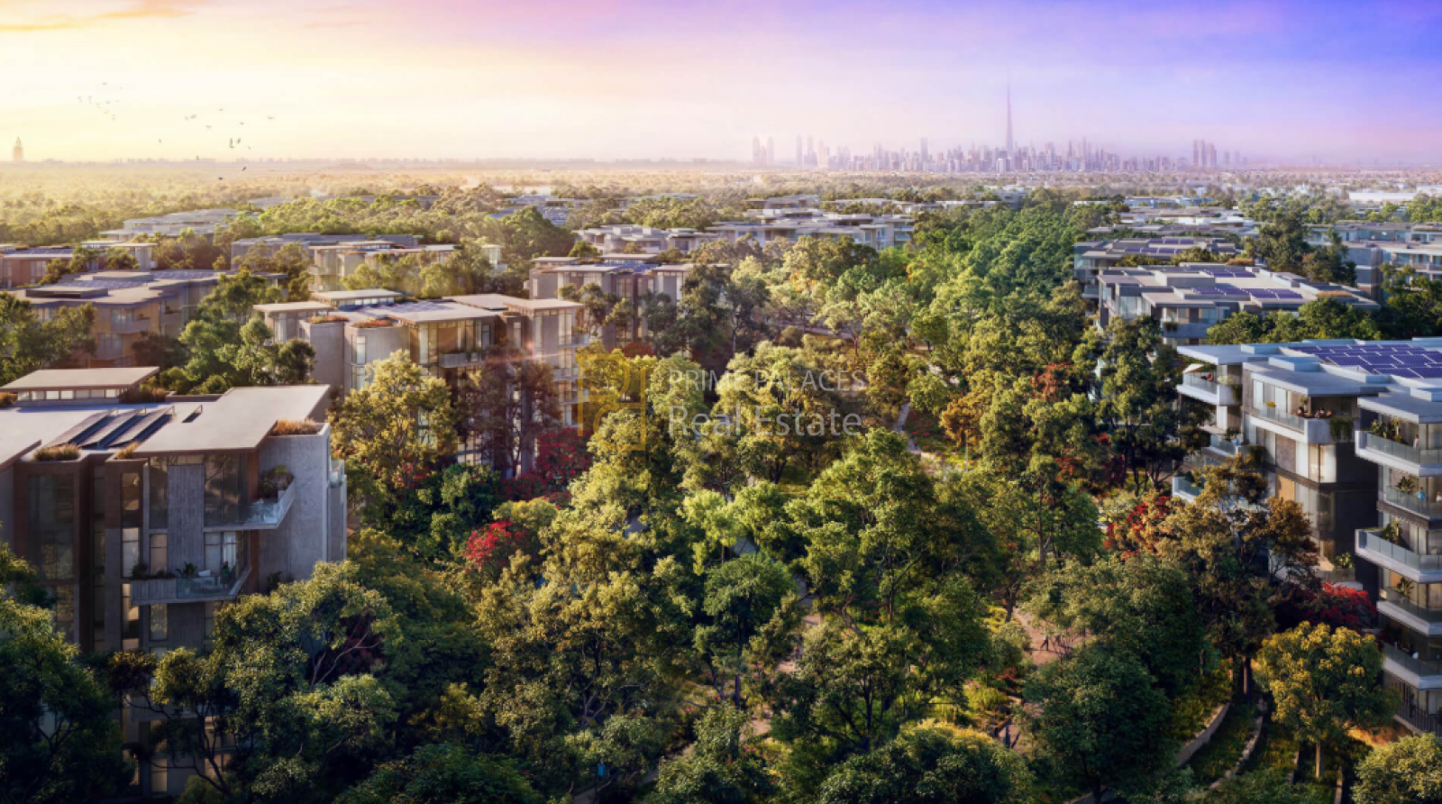 Green Metropolises: The Future of UAE Property Development